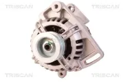 Generator 12 V TRISCAN 8310 25028