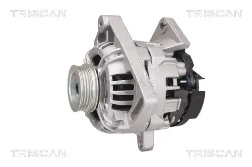 Generator 12 V TRISCAN 8310 25029 Bild Generator 12 V TRISCAN 8310 25029