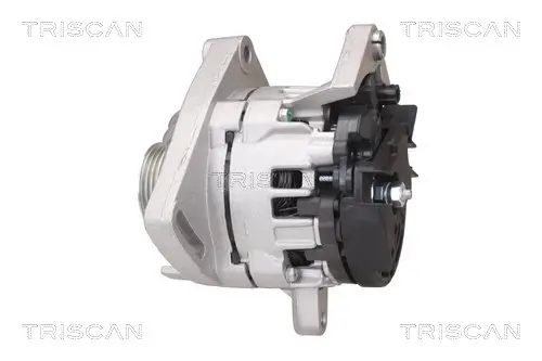Generator 12 V TRISCAN 8310 25029 Bild Generator 12 V TRISCAN 8310 25029
