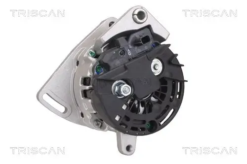Generator 12 V TRISCAN 8310 25029 Bild Generator 12 V TRISCAN 8310 25029