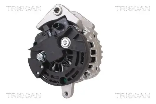 Generator 12 V TRISCAN 8310 25029 Bild Generator 12 V TRISCAN 8310 25029