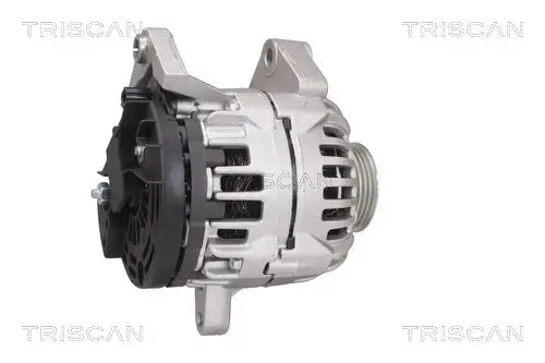 Generator 12 V TRISCAN 8310 25029 Bild Generator 12 V TRISCAN 8310 25029