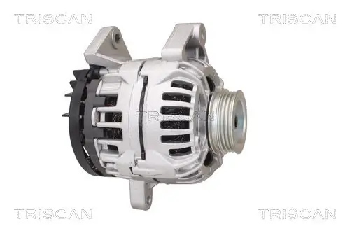 Generator 12 V TRISCAN 8310 25029 Bild Generator 12 V TRISCAN 8310 25029