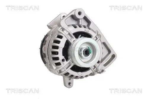 Generator 12 V TRISCAN 8310 25029 Bild Generator 12 V TRISCAN 8310 25029