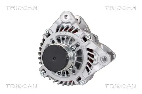 Generator 14 V TRISCAN 8310 25030