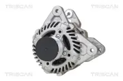 Generator 14 V TRISCAN 8310 25031