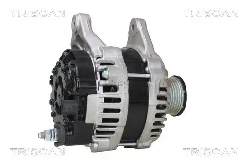 Generator 14 V TRISCAN 8310 25031 Bild Generator 14 V TRISCAN 8310 25031