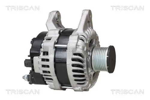 Generator 14 V TRISCAN 8310 25031 Bild Generator 14 V TRISCAN 8310 25031