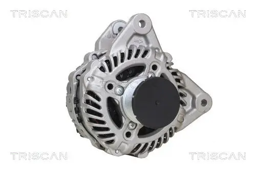 Generator 14 V TRISCAN 8310 25031 Bild Generator 14 V TRISCAN 8310 25031