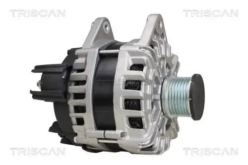 Generator 14 V TRISCAN 8310 25032 Bild Generator 14 V TRISCAN 8310 25032