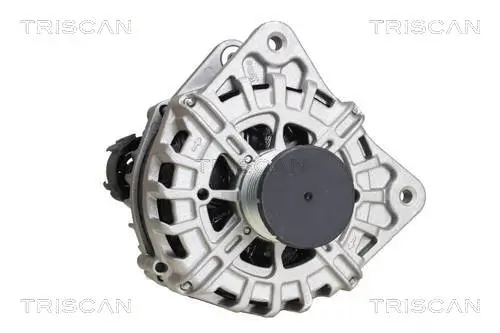Generator 14 V TRISCAN 8310 25032 Bild Generator 14 V TRISCAN 8310 25032