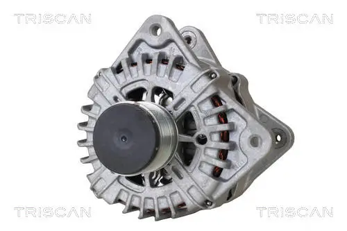 Generator 14 V TRISCAN 8310 25034