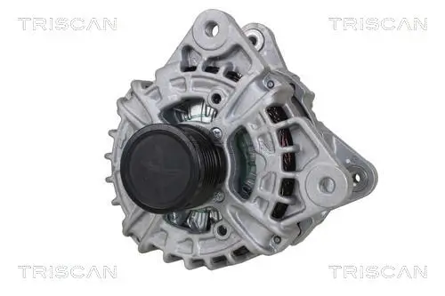 Generator 14 V TRISCAN 8310 25035