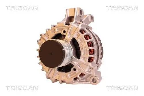 Generator 14 V TRISCAN 8310 27008