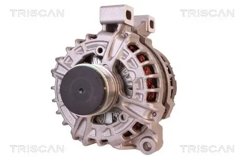 Generator 12 V TRISCAN 8310 27010