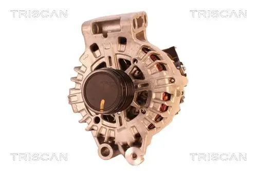 Generator 14 V TRISCAN 8310 27013
