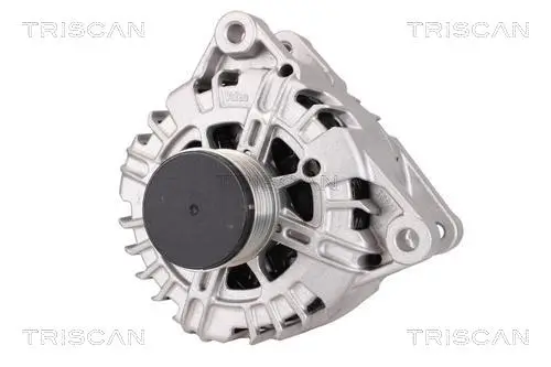 Generator 14 V TRISCAN 8310 27014