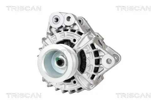Generator 12 V TRISCAN 8310 27017