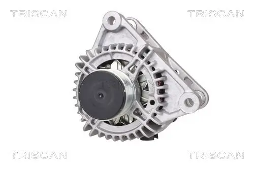 Generator 14 V TRISCAN 8310 28002
