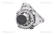 Generator 14 V TRISCAN 8310 28002