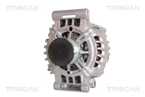 Generator 14 V TRISCAN 8310 28004