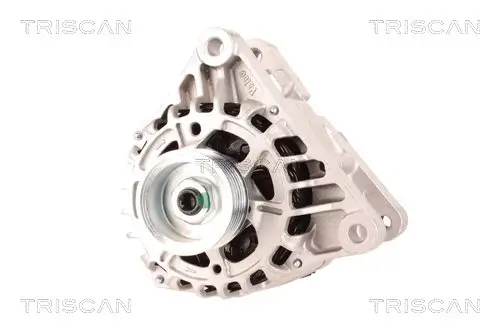 Generator 14 V TRISCAN 8310 28006