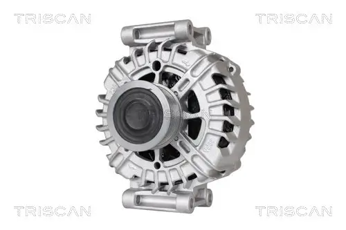 Generator 14 V TRISCAN 8310 29002