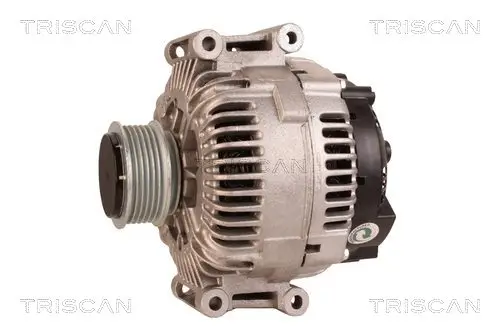 Generator 12 V TRISCAN 8310 29003 Bild Generator 12 V TRISCAN 8310 29003