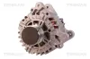 Generator 14 V TRISCAN 8310 29009