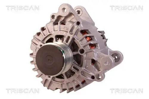 Generator 14 V TRISCAN 8310 29009 Bild Generator 14 V TRISCAN 8310 29009