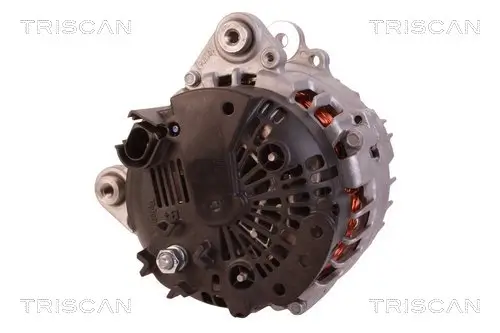 Generator 14 V TRISCAN 8310 29009 Bild Generator 14 V TRISCAN 8310 29009