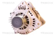 Generator 14 V TRISCAN 8310 29010