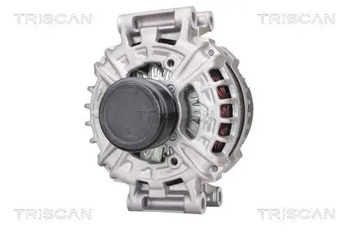 Generator 14 V TRISCAN 8310 29011