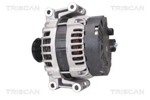 Generator 14 V TRISCAN 8310 29011 Bild Generator 14 V TRISCAN 8310 29011