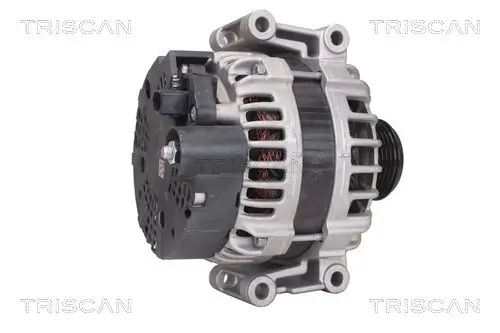 Generator 14 V TRISCAN 8310 29011 Bild Generator 14 V TRISCAN 8310 29011