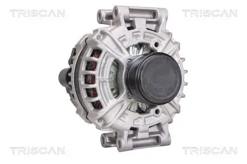 Generator 14 V TRISCAN 8310 29011 Bild Generator 14 V TRISCAN 8310 29011