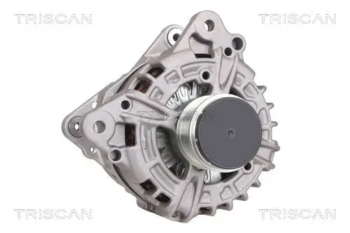 Generator 14 V TRISCAN 8310 29012 Bild Generator 14 V TRISCAN 8310 29012