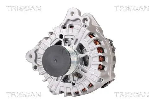 Generator 14 V TRISCAN 8310 29013