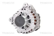 Generator 14 V TRISCAN 8310 29013