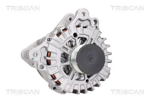 Generator 14 V TRISCAN 8310 29013 Bild Generator 14 V TRISCAN 8310 29013
