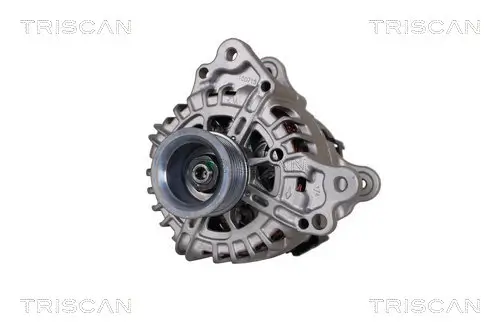 Generator 14 V TRISCAN 8310 29015