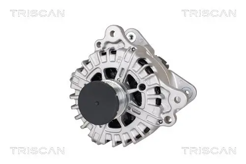 Generator 14 V TRISCAN 8310 29016