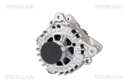 Generator 14 V TRISCAN 8310 29016