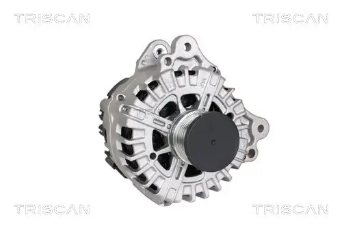 Generator 14 V TRISCAN 8310 29016 Bild Generator 14 V TRISCAN 8310 29016