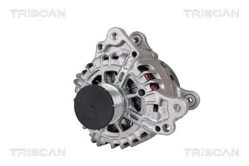 Generator 14 V TRISCAN 8310 29017