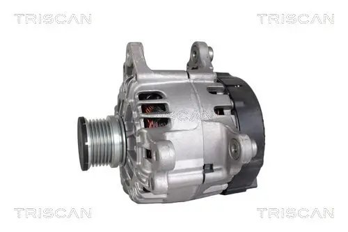 Generator 14 V TRISCAN 8310 29017 Bild Generator 14 V TRISCAN 8310 29017