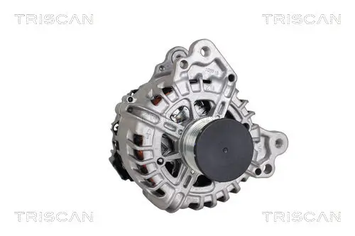 Generator 14 V TRISCAN 8310 29017 Bild Generator 14 V TRISCAN 8310 29017
