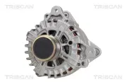 Generator 14 V TRISCAN 8310 29018