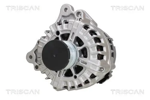 Generator 14 V TRISCAN 8310 29019