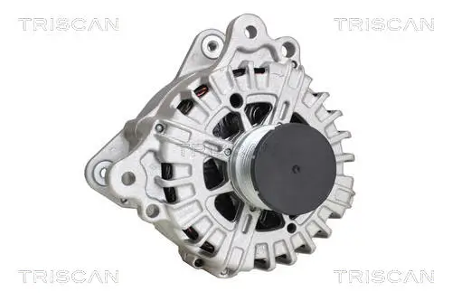 Generator 14 V TRISCAN 8310 29019 Bild Generator 14 V TRISCAN 8310 29019